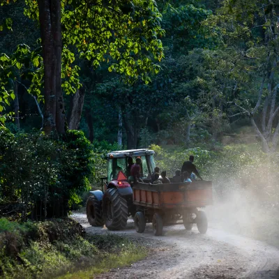 Tega Tula, Ethiopia, Coffee Ethiopia, Specialty Coffee, Touton Specialty