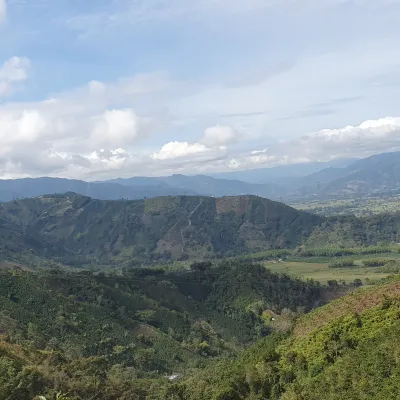 Touton Specialty Coffee Co - Fermented Colombia