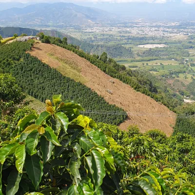 Touton Specialty Coffee Co-Fermented Colombia