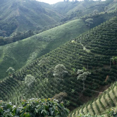 Colombia Finca Las Flores Familia Vergara