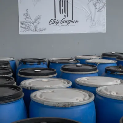 Touton Specialties Colombia Huila Co-Fermented Coffee