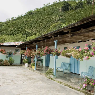 finca huila Don Pacho