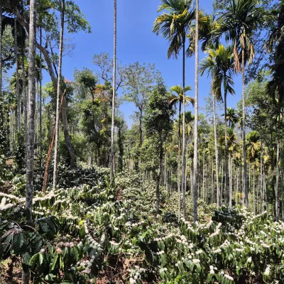 India_Kerala_Biowin_