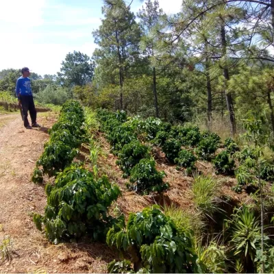 Guatemala_Mancomunidades_