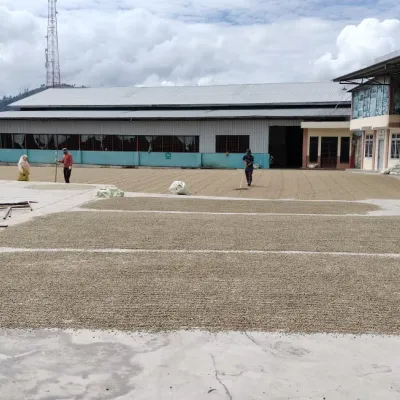 Sumatra