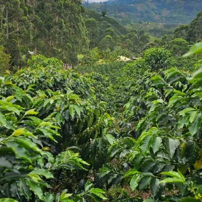 Colombia_Las_Palmas_