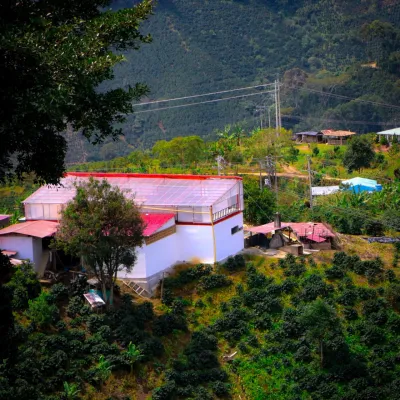 piedras blancas