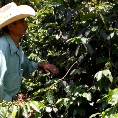 Guatemala_Mancomunidades_